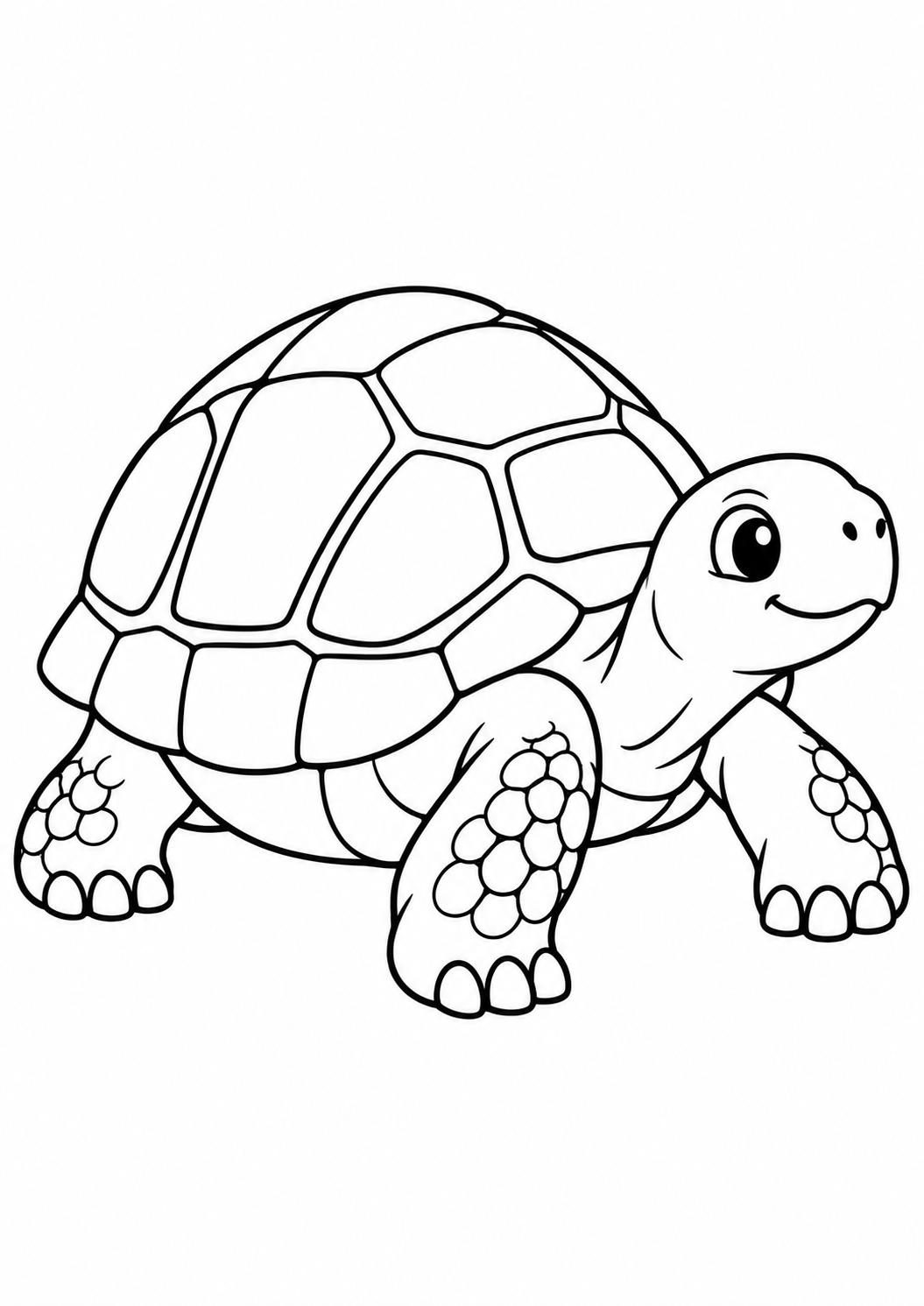 Petite tortue terrestre : coloriage original à imprimer