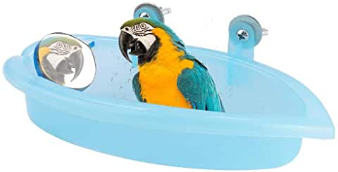 meilleure baignoire perroquet