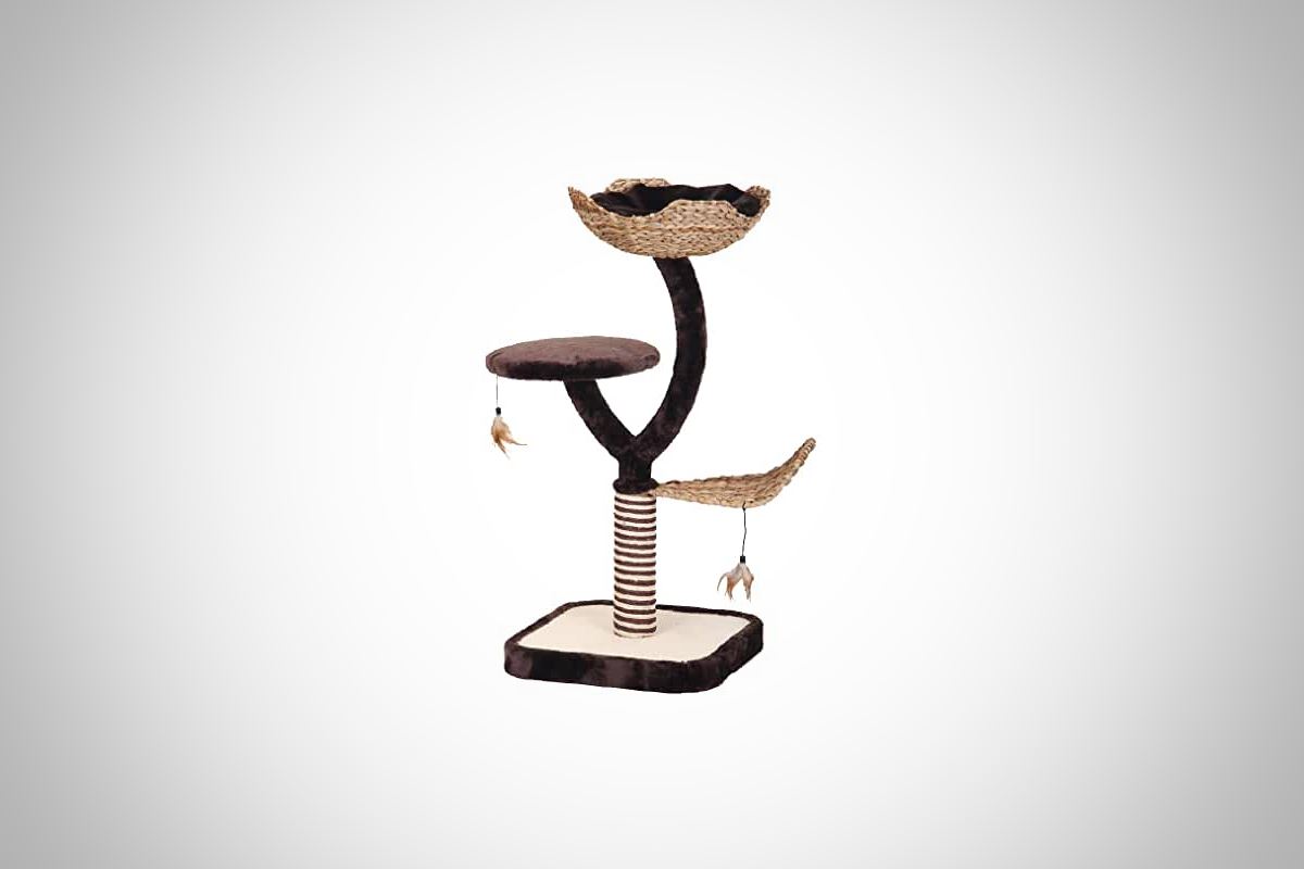 Meilleur arbre à chat design