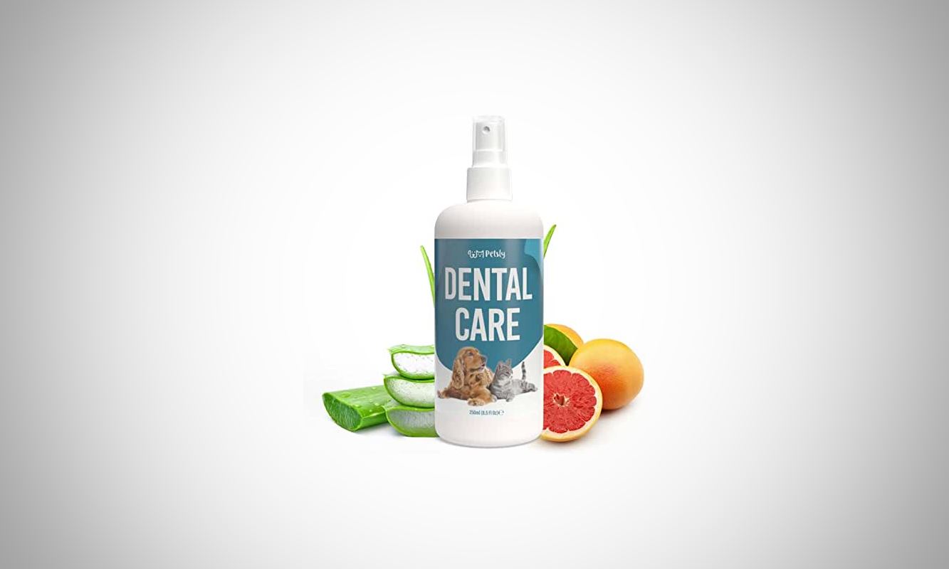 meilleure dentifrice pour chien