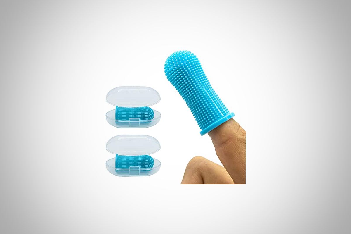 brosse à dents pour chat