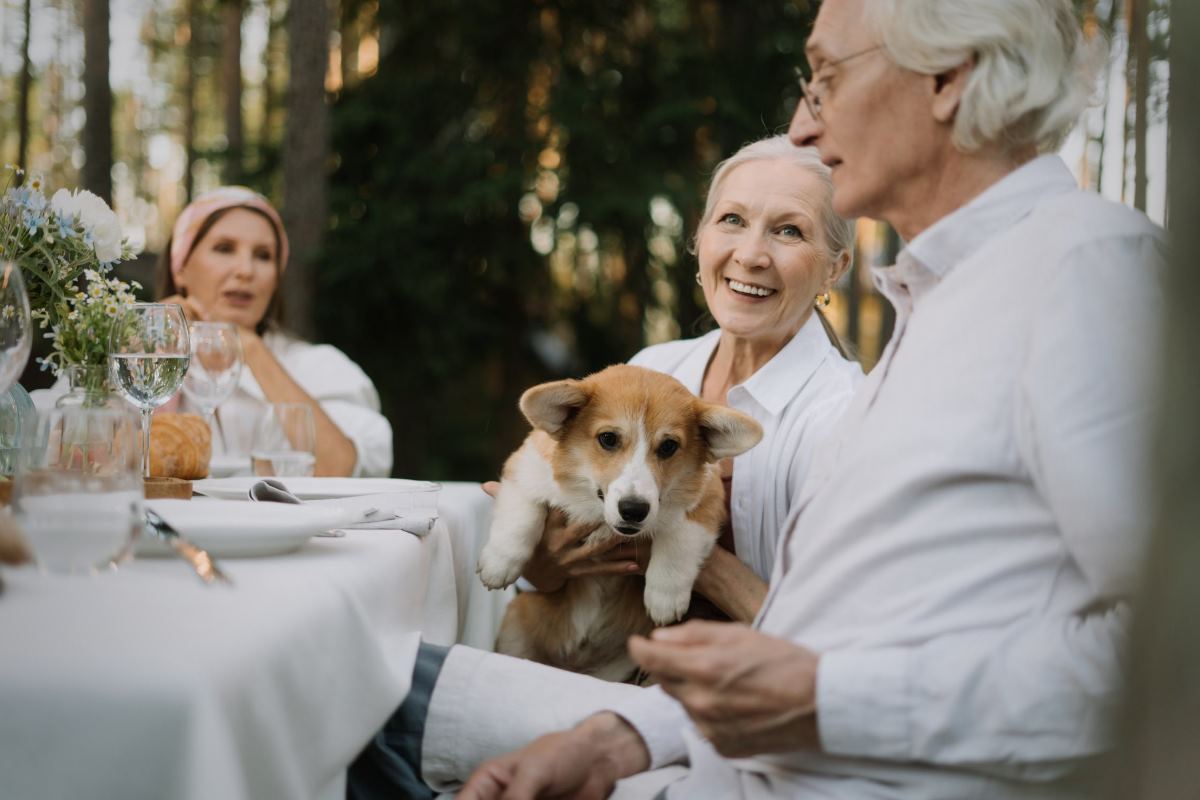 les animaux à adopter pour les seniors