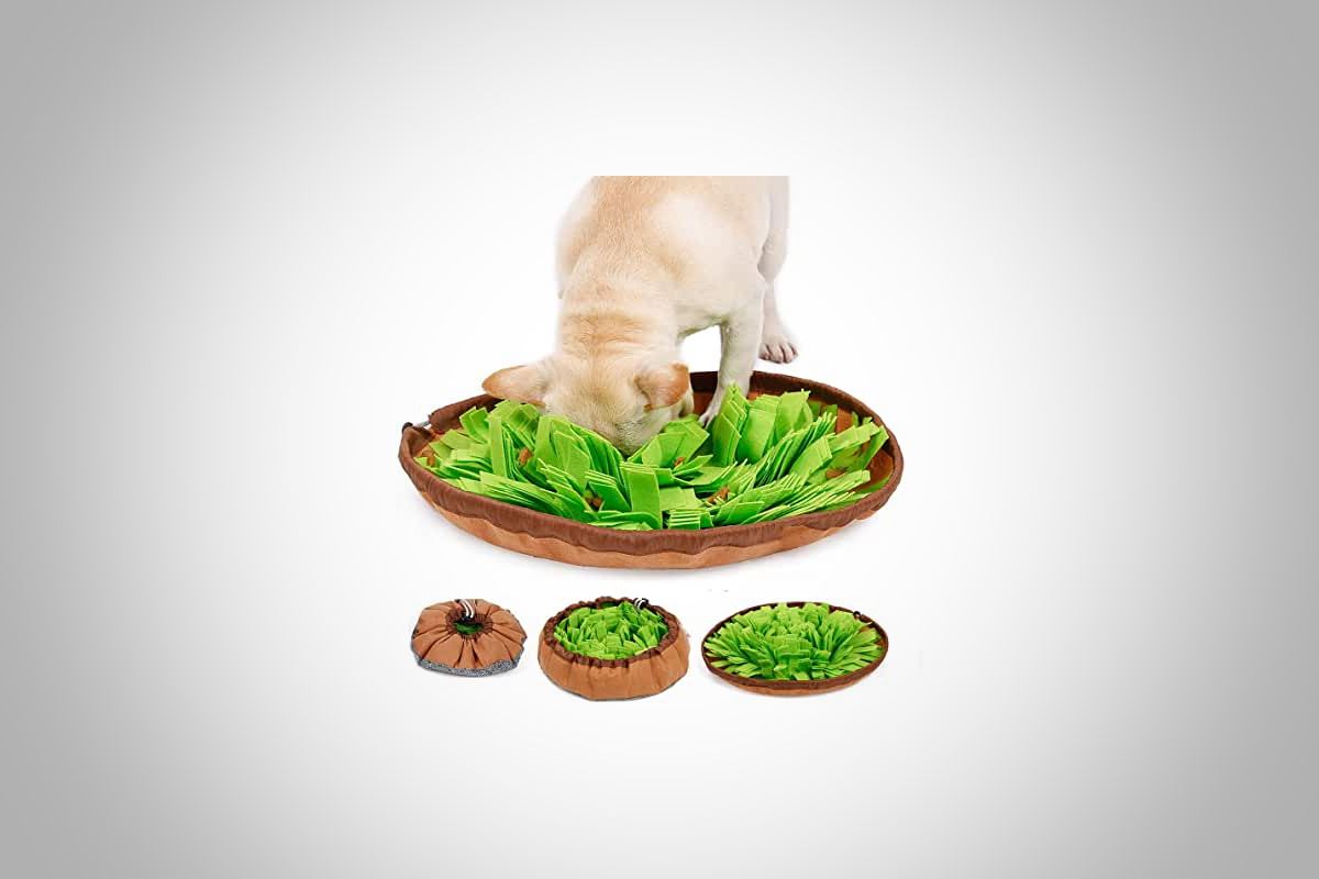 meilleur tapis à renifler pour chien