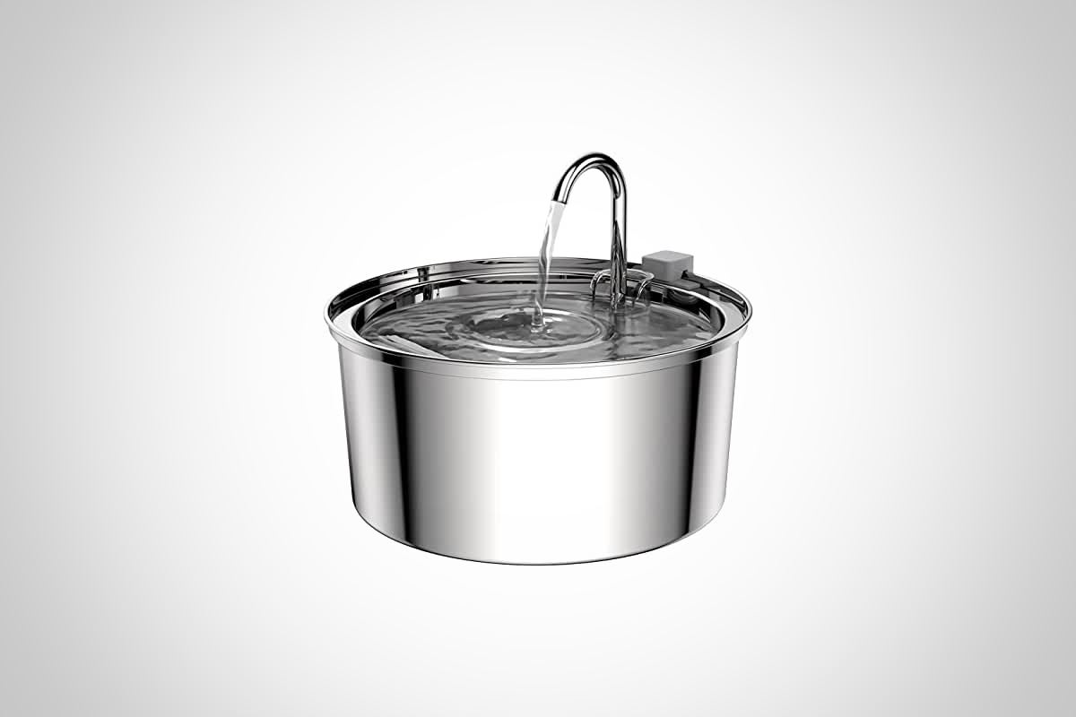 meilleure fontaine à eau pour chat