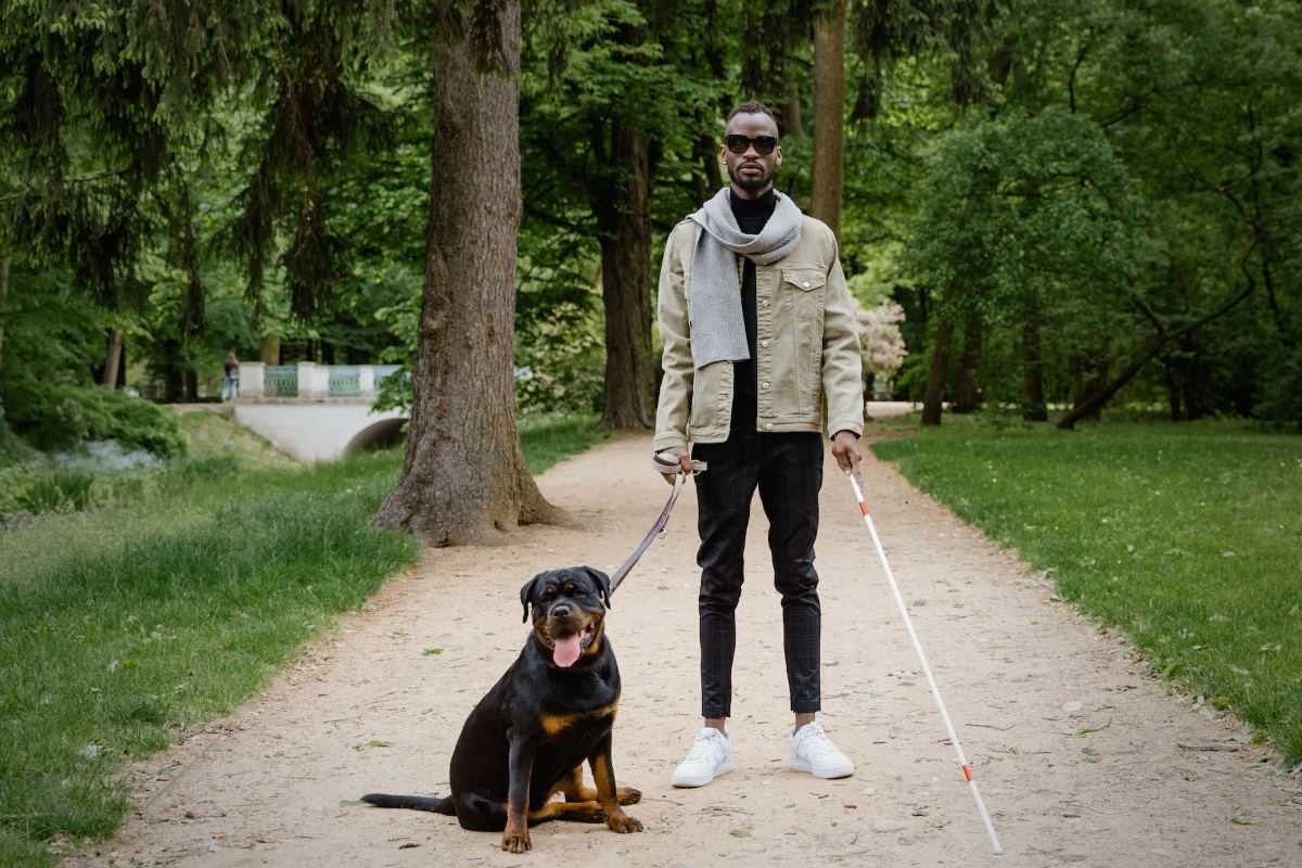 Les chiens utilisés auprès des personnes malades