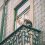 Pourquoi et comment sécuriser son balcon quand on a un chat ?