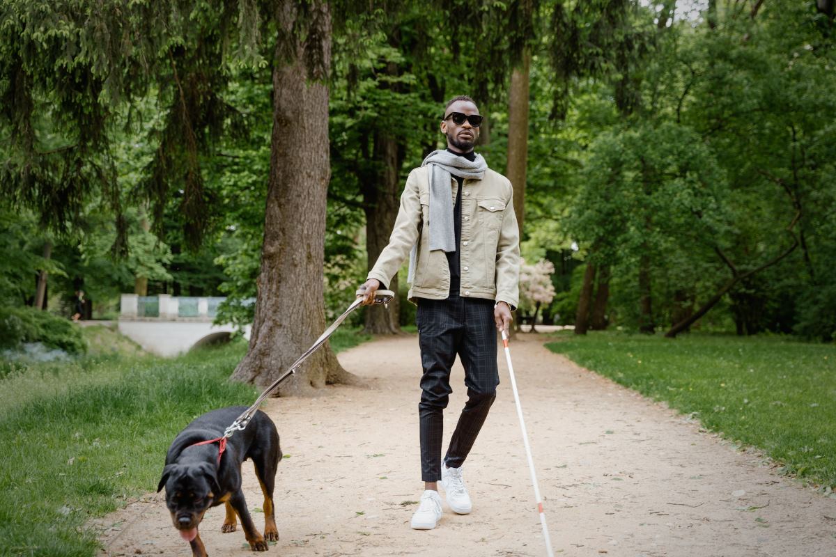 chiens guides et d'assistance pour personnes avec handicap