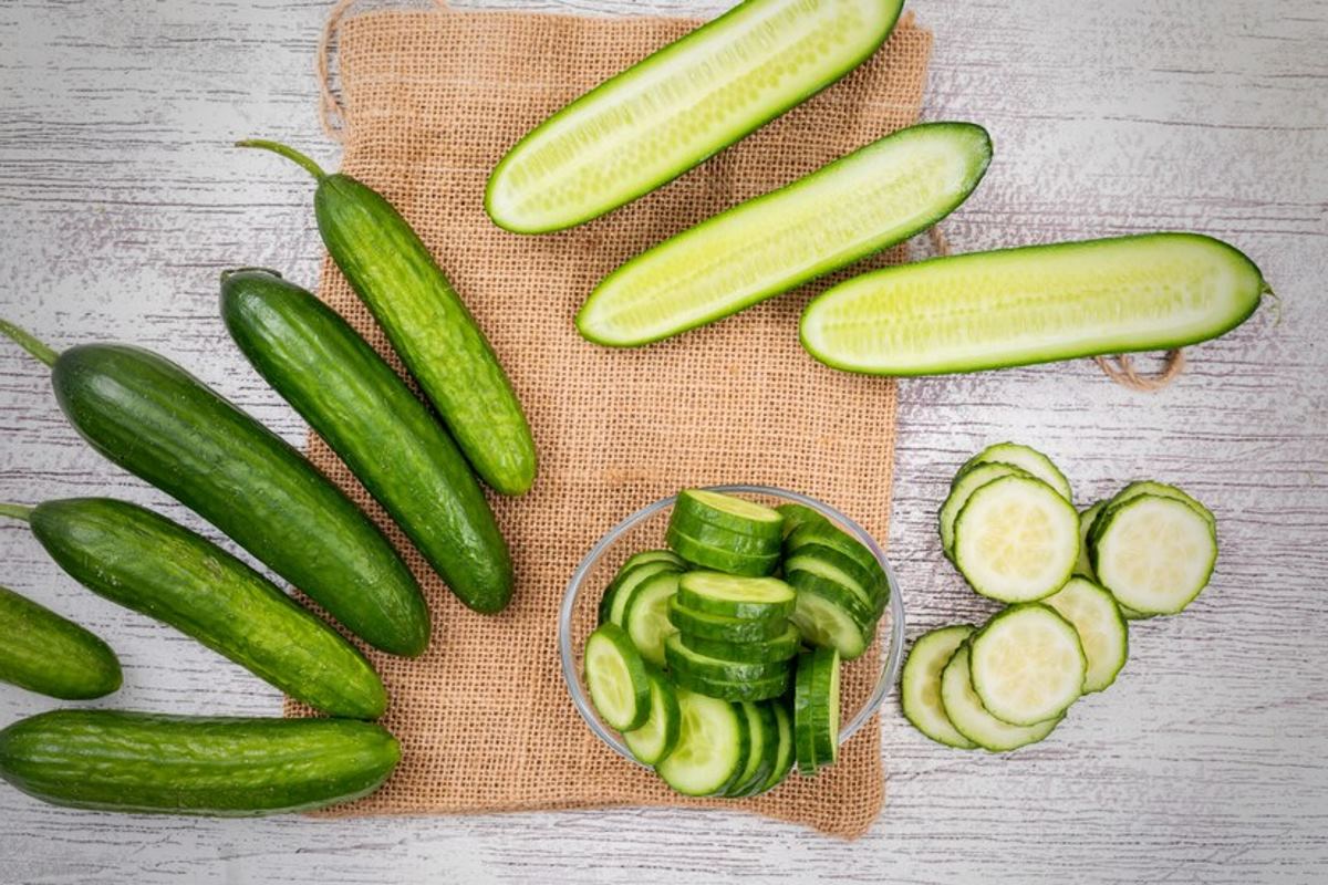 le chat et la peur du concombre