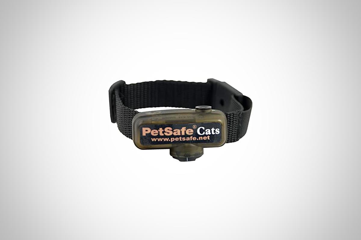 meilleur collier anti fugue pour chat