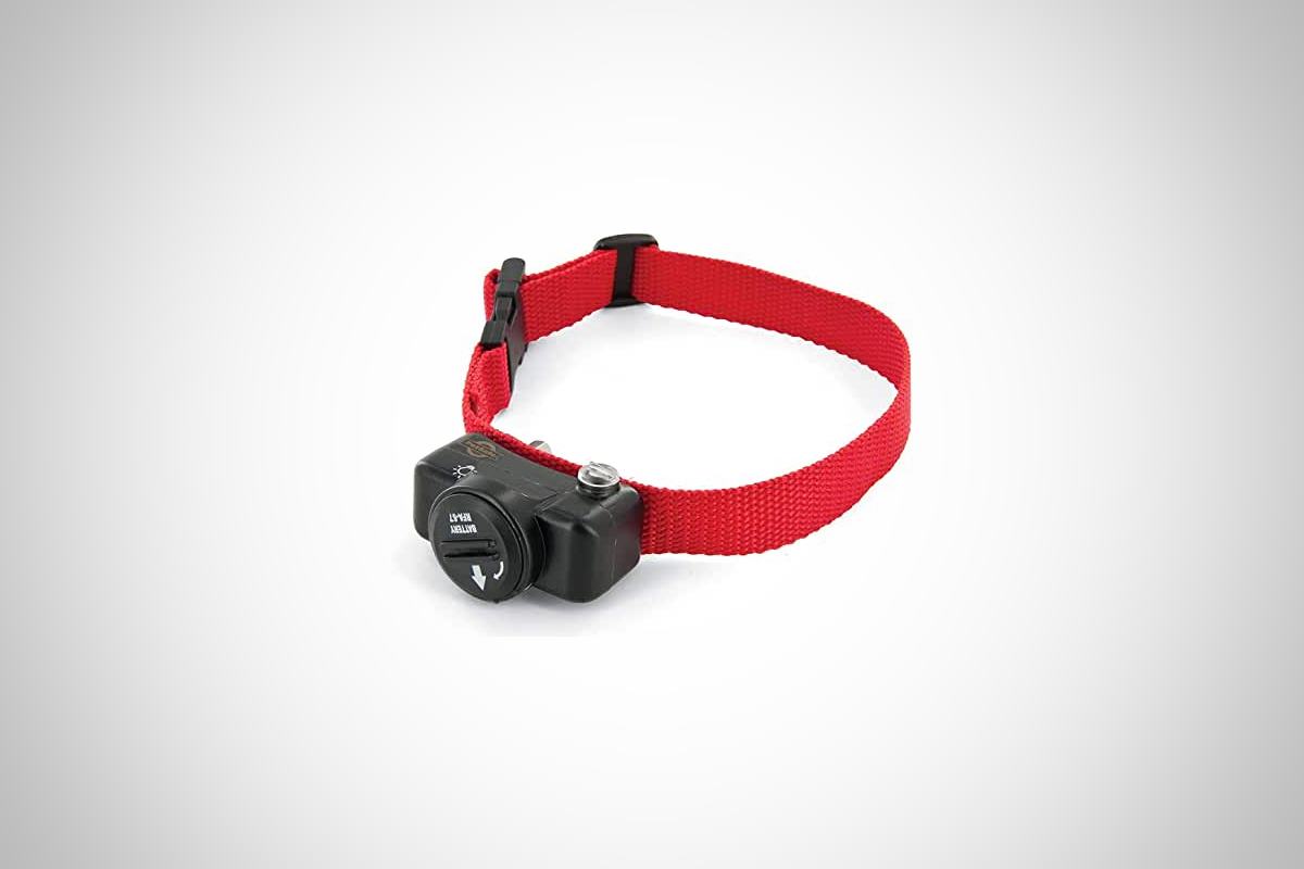 Système Anti-fugue Pour Chien - Collier Et Boîtier émetteur - Occasion (boîte En Photo)