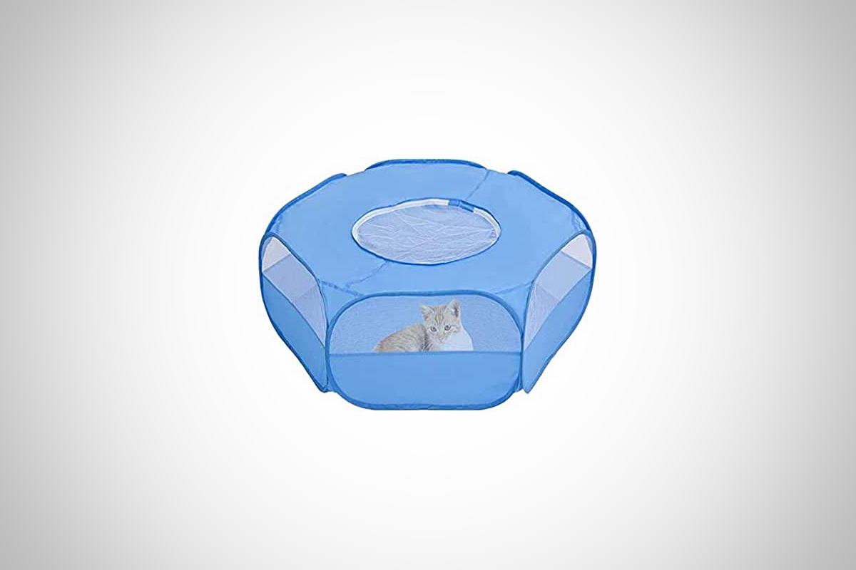 meilleur parc à chat