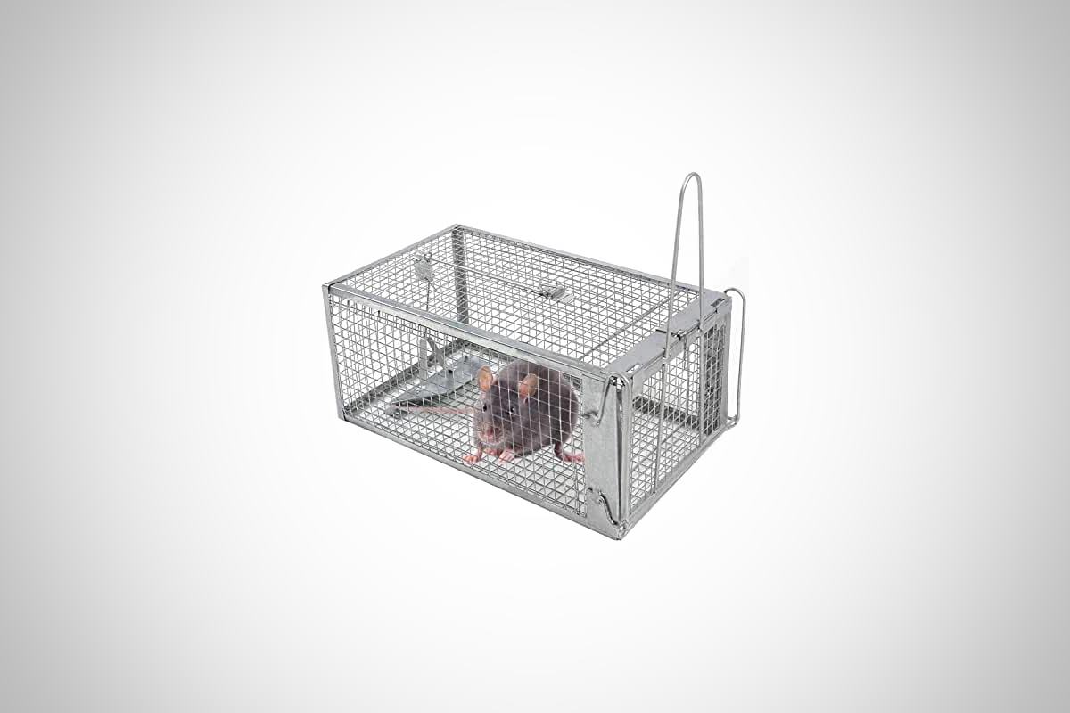 meilleure cage à rats