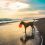 Ce que personne ne dit sur les plages interdites aux chiens (et pourquoi c&rsquo;est plus complexe que vous ne pensez)