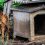 Niche du chien : nos astuces pour enlever les mauvaises odeur