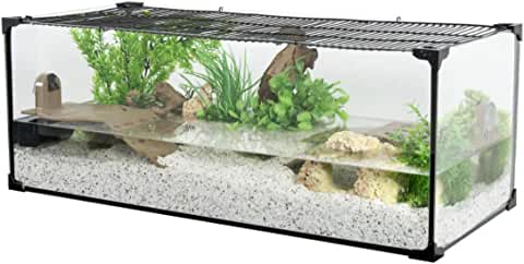 meilleur aquarium tortue