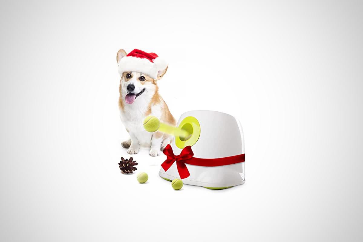 meilleur lanceur de balle pour chien