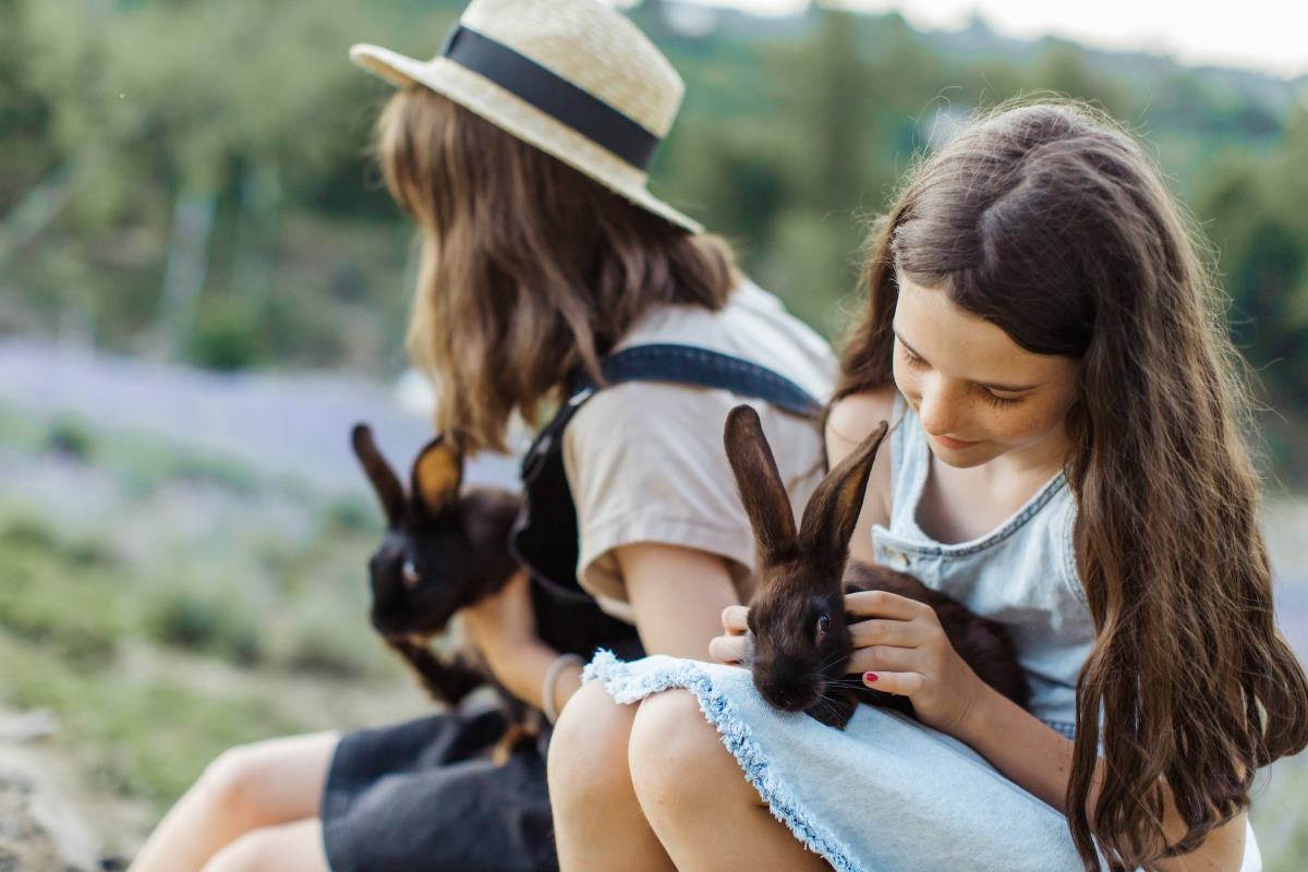 techniques de dressage de base du lapin nain