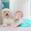 Bébé et chien : mes 5 règles d&rsquo;hygiène pour une cohabitation sereine
