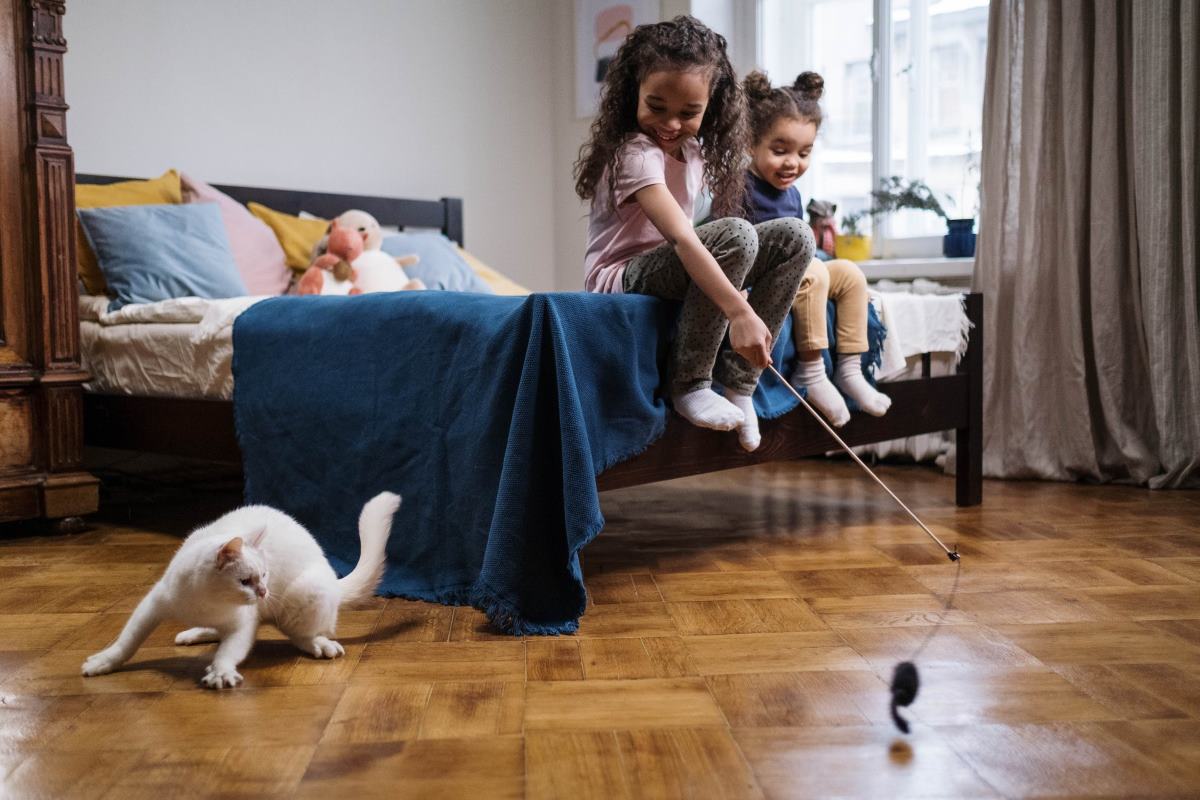 comment fabriquer un jouet pour chat