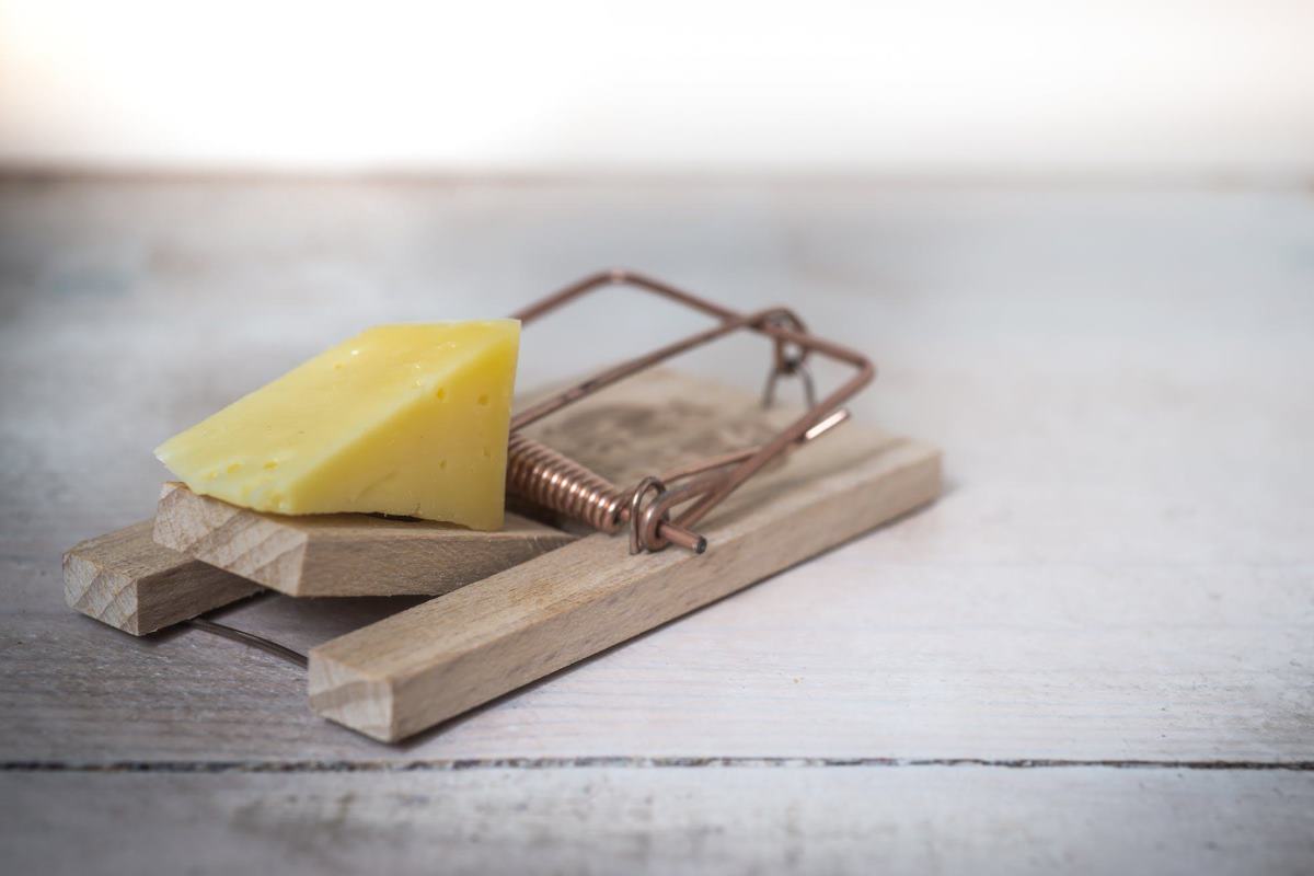 comment installer le piège à souris