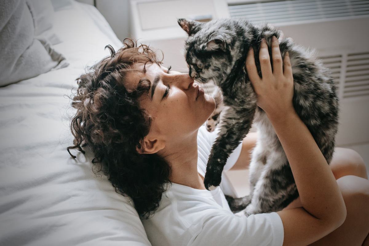 pourquoi mon chat renifle mon visage