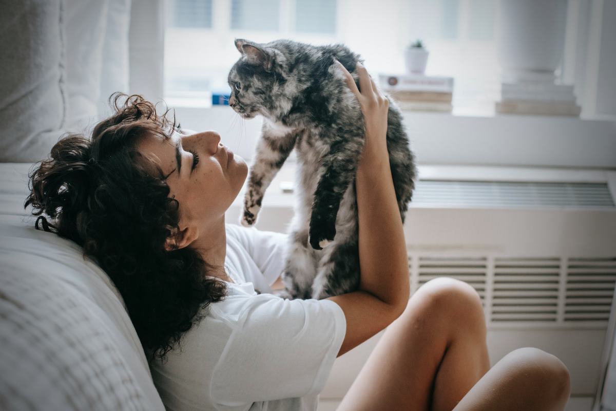 faut il laisser mon chat renifler le visage