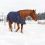 Comment choisir les bonnes couvertures d&rsquo;hiver pour votre cheval ?