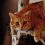 Mon chat ignore complètement mon chien… et pourtant la science dit le contraire