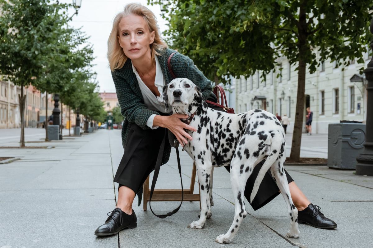 adopter un chien senior avantages et inconvénients