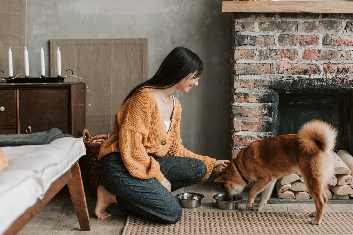 chien diabétique quelle alimentation choisir