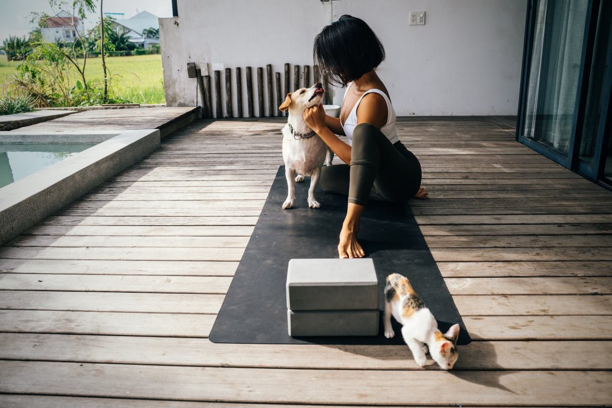 les avantages des mutuelles animales sans délais de carence