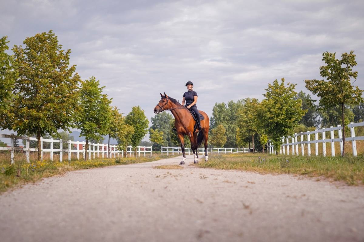 les erreurs à éviter lors de la construction d'un manège équestre