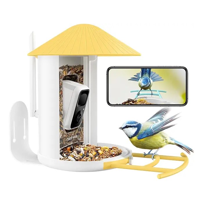 Cette mangeoire connectée vous permettra d'observer les oiseaux de très  près !