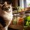 Comment bien nourrir un chat obèse ou en surpoids sans frustration ?