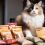Les meilleures marques d&rsquo;aliments pour chats : le guide pour des félins ravis