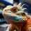 Pourquoi ton gecko à crête mérite un habitat digne de la Nouvelle-Calédonie
