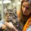 Comment j&rsquo;ai failli passer à côté des signes de la maladie rénale chez mon chat