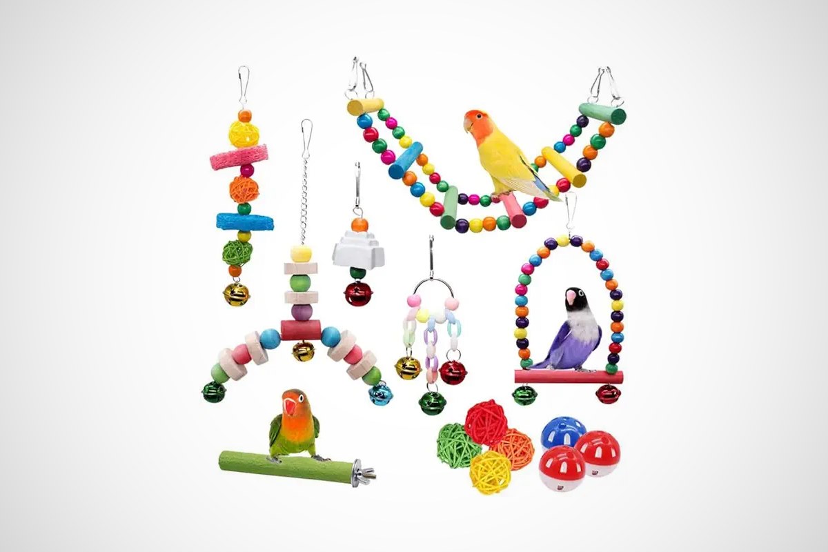meilleurs accessoires oiseaux