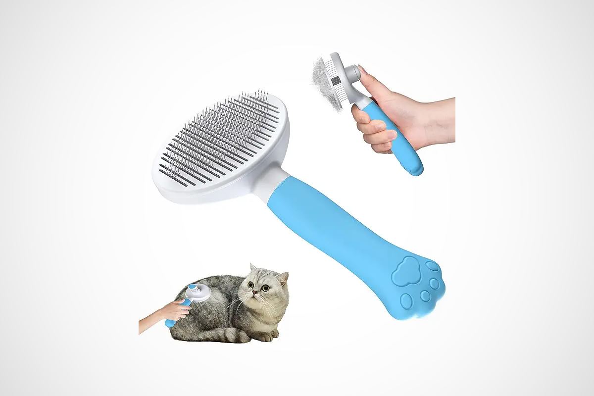 brosse soufflante pour chat