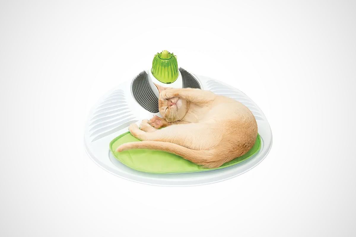 station bien etre chat