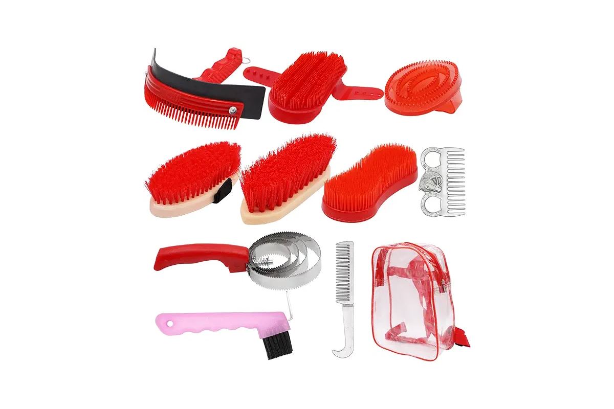meilleurs accessoires cheval