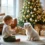 Idées cadeaux chien Noël : 7 surprises qui marchent vraiment