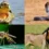 Ces animaux qui nous terrifient : les plus dangereux pour l&rsquo;homme