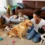Vous avez plusieurs chiens ? Voici comment organiser votre maison pour une vie harmonieuse et sans stress !