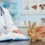 Pourquoi ton lapin a-t-il besoin d&rsquo;un carnet de santé complet ?