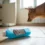 Danger à la maison : l&rsquo;erreur n°1 que tous les propriétaires d&rsquo;animaux font avec leurs produits ménagers