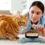 Pourquoi mon chat prend-il du poids et comment l&rsquo;aider à retrouver sa ligne ?