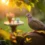 Que signifie vraiment la présence d&rsquo;une tourterelle dans votre jardin ?