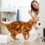 Comment dresser son chat pour créer du contenu viral