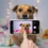 TikTok bannit les chiens trop craquants : nouvelle guerre contre l&rsquo;addiction